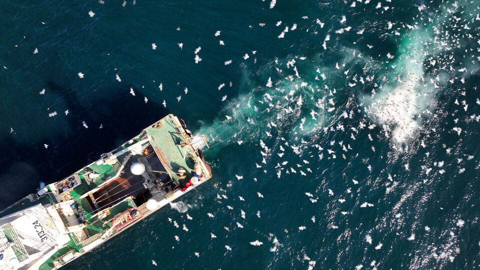 MPAs will protect BC against bottom trawling
