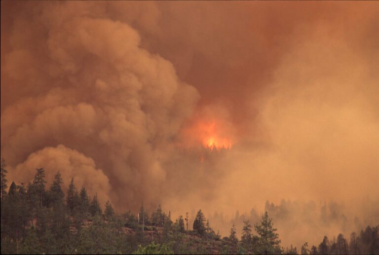 Wildfire in British Columbia