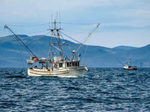 A commercial fishing boat named "Savoy" on the water