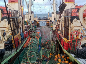 Industrial fishing trawler boat with a full trawl net onboard